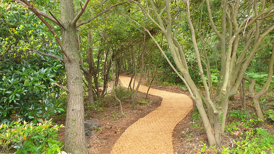 산책로입구3