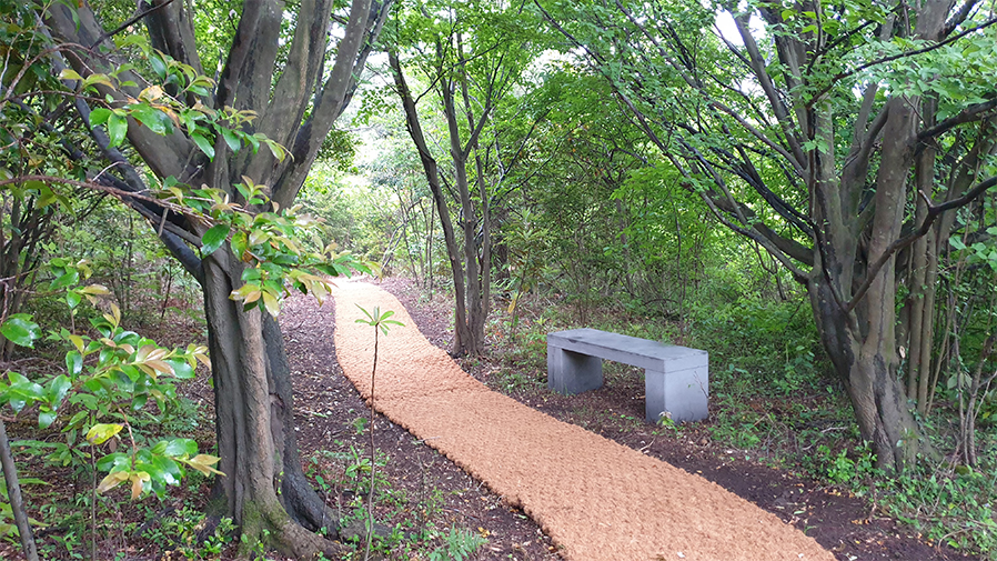 산책로입구4
