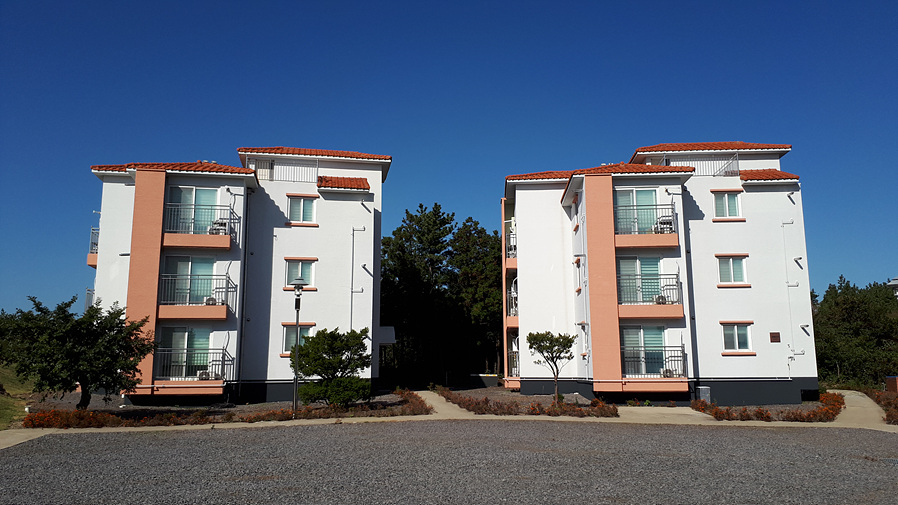 Living Halls5