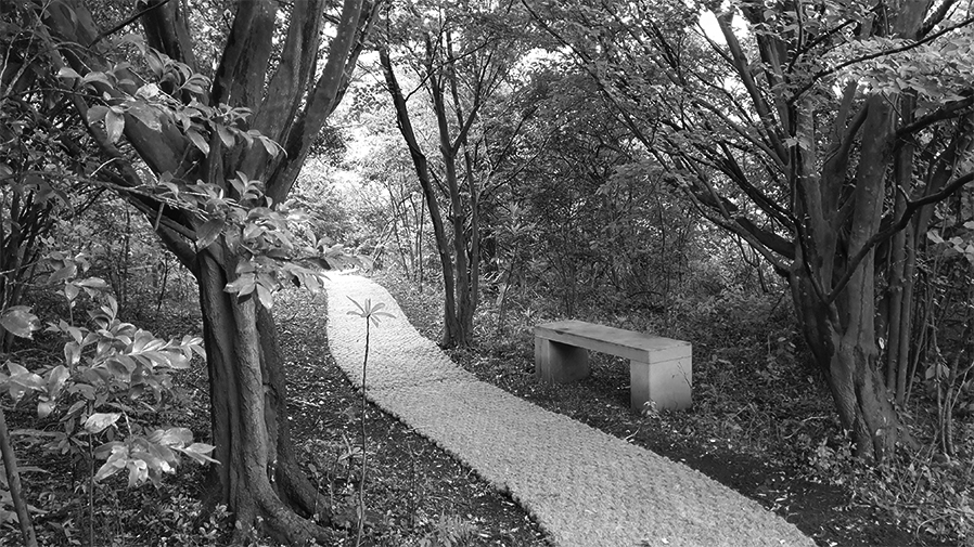 Image4