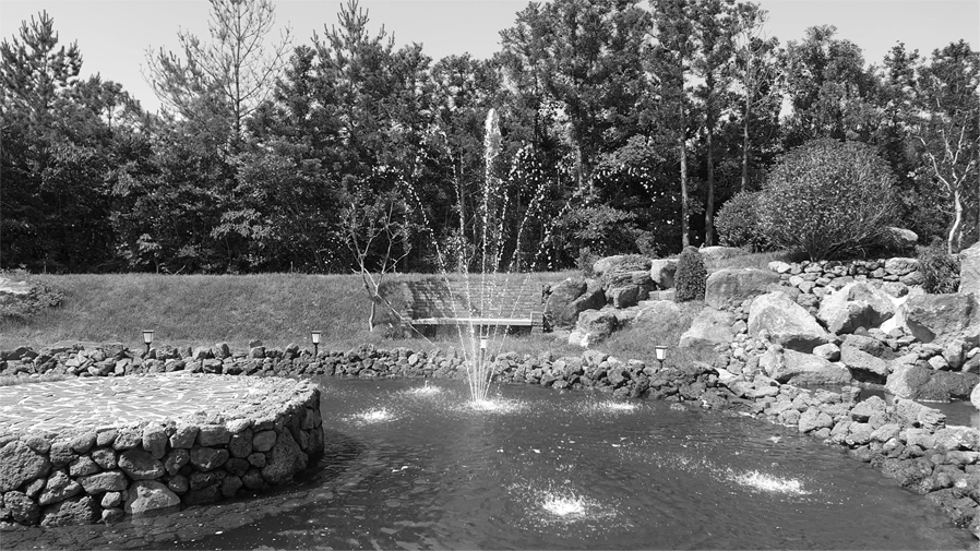 Image12