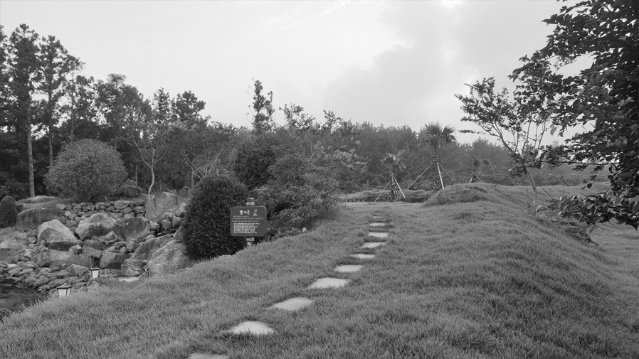 Image8